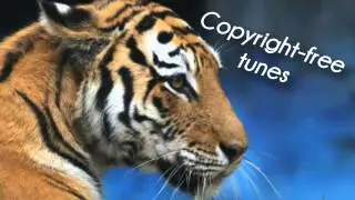 20syl - Voices feat. Rita J.   -   CopyrightFreeTunes
