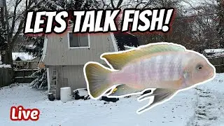 A Big Announcement! Fishy Bingo Recap, Fish Games and More!