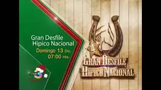 canal tres guatemala  gran desfile ipico nacional