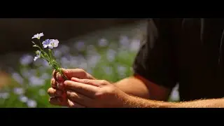 Midlands Nutrition Company Video