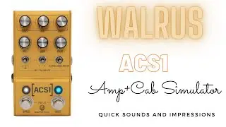 Walrus Audio ACS1: Amp&Cab Simulator-3 Iconic Amps in One Stompbox!!