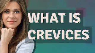 Crevices | meaning of Crevices