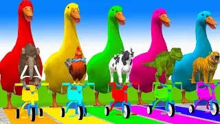 Long Slide Game With Cow Elephant Gorilla Hippopotamus Tiger - 3d Animal Game - Funny 3d Animals