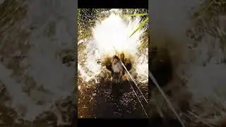 🤯 INSANE Fish BITE The BAIT! You Won't BELIEVE What Happens Next! 🎣