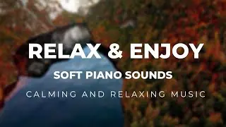 Echoes of Calm: Piano and Nature Blend #Chill Beats #work # relax #SLEEP