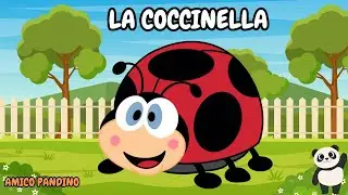 Animali per bambini piccoli - LA COCCINELLA - Impara gli animali con Pandino