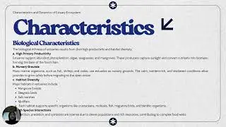 Characteristics and Dynamics of Estuary System