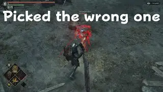 Demon's Souls Short