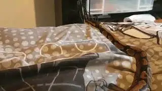 VERY CURIOUS SNAKE (Cute snake yawn)