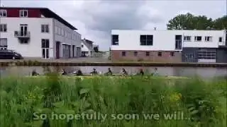 Vaaraos for Cairow roeien de Ringvaart!