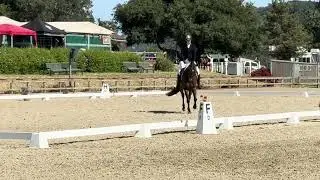 Tappy dressage woodside