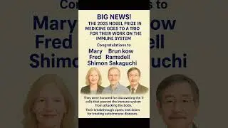 Meet the Winners: Mary Brunkow, Fred Ramsdell, and Shimon Sakaguchi Win 2025 Nobel Medicine Prize