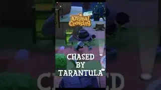 Tarantula AMBUSH!?