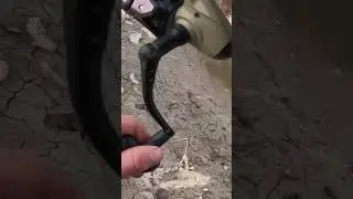 Catfish bait HACK!#shorts #outdoors #fishing #fyp
