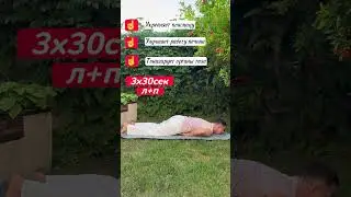 💥АРДХА ШАЛАБХАСАНА