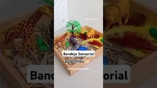 🌈 Bandeja SENSORIAL para ni&ntilde;os 👶🏻 #actividadesparani&ntilde;os #sensoryplay #motricidadfina #ni&ntilde;osyni&ntilde;as
