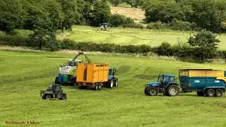 Silaging a Large Dairy Farm (2000 cows) with Claas 900 in This Field.  And Rowing up in the Next.