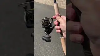 Daiwa BG по-прежнему великолепна даже спустя столько лет!