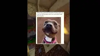 StepDad Mikes Memes