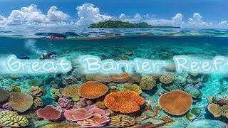 Great Barrier Reef  #millnreef #coral #greatbarrierreef #turtle #shark #fish #snorkeling 