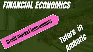 Financial Economics Present value and credit market instruments.