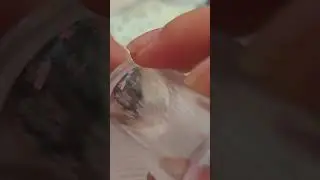 Wrapping paper nails!
