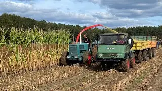 Vintage MB Trac and Unimog Harvesting Maize