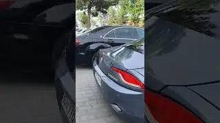 Фискер Карма! Первый раз вижу такой!!