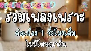 รวมเพลงเพราะๆ ฟังสบายๆ 2025 | ฟังยาวๆต่อเนื่อง 1 ชั่วโมงเต็ม ไม่มีโฆษณาคั่นบ่อย Vol.พิเศษ ปีใหม่