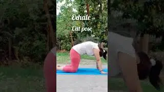 Marjaryasana Cat-Cow pose relieve back pain with cat-cow #neelamjaiswal #shorts#dailyyoga#exercise