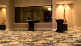 Live at Pawcon 2018