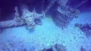 Hawaii eel coming out of pipe