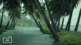 Rain and Thunder Sounds for  Relaxation| Thunderstorm Sound Effect with Rain | ASMR Sounds