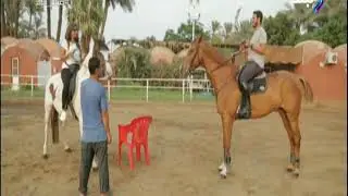 صباح البلد - تعلم كيفية ركوب الخيل و توجيه الحصان 🐴