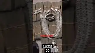 DOLO RILLA SHOWS 1MIL & CALLS OUT PREMO #newyork #rap #brooklyn #money #premo #yktv #moneywars