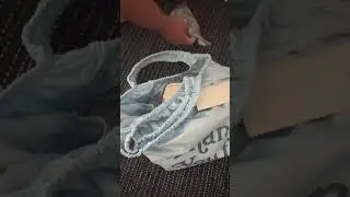 The BRAND NEW Telfar Plastic Bag