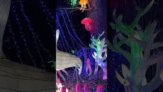 Zootopia #zoo #zoom #kidzootd #zootopia #zoomzoom #zoomnl #sandiegozoo #zootecnia #shorts