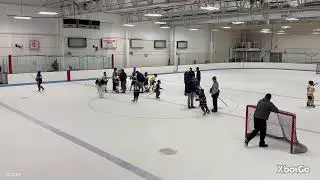 Grizzlies vs. North Stars - Weidner