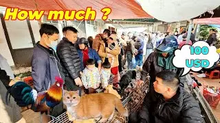 The pet market has pet dogs, cats, chickens, and mice.
