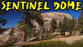 Sentinel Dome Hike