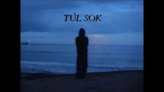 Balt&aacute;s - T&uacute;l sok (official lyrics video)