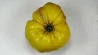 The Dancing Tomato