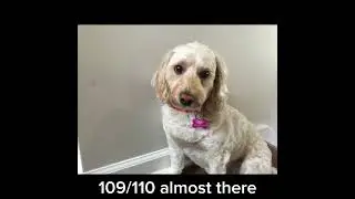 109/110