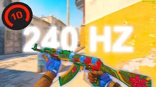 donk sens + 240hz | Faceit lvl 10