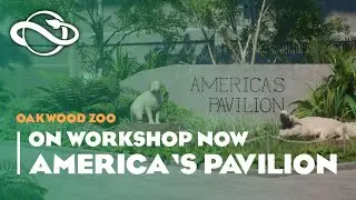🦩 America's Pavilion | Oakwood Zoo | Launch Trailer