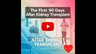 First 90 Days After Kidney Transplant Everything You Should Know For Optimal Health