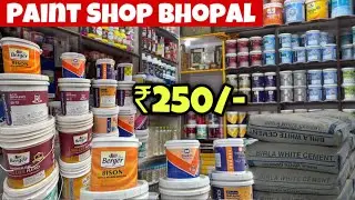 Wall Paint Distributor | Buy Wall Paint at the cheapest price | Best wall Paints #asianpaints