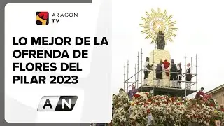 Lo mejor de la Ofrenda de Flores del Pilar 2023