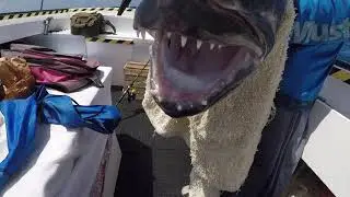 Fishing Trip Flat Island Mauritius 12.10.21