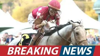 Katie Davis&rsquo; First Gulfstream Victory &ndash; Inspiring Comeback!। USA NEWS TODAY